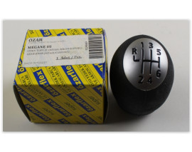 6R069 VİTES TOPUZU MGN III-FLUENCE YM. SİYAH-KROM