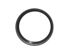 ABS OKUYUCU HALKA ARKA SCENIC III