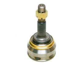 Aks Kafası DIŞ 25 23 55 90 RNI2986