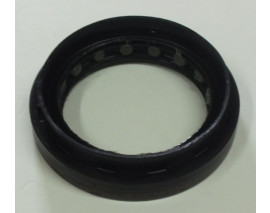 AKS KEÇESİ ÖN CLIO III-MGN II-LGN II-MODUS