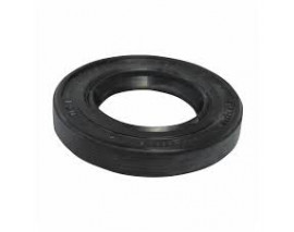 AKS KEÇESİ ÖN LGN-SAFRANE-ESPACE 2.2D-TRAFIC 1.9