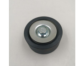 ALTERNATÖR GERGİ RULMANI CF-XF