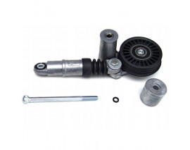 ALTERNATÖR GERGİ RULMANI KÜTÜKLÜ/AMORTİSÖRLÜ PASSAT-A4-A6-SUPER B-GOLF-BORA 1.9TDI-2.0TDI