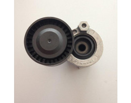 ALTERNATÖR GERGİ RULMANI KÜTÜKLÜ CLIO IV-CAPTUR-MGN III-SCENIC III-GRAND KNG-CITAN 1.5 DCİ 13