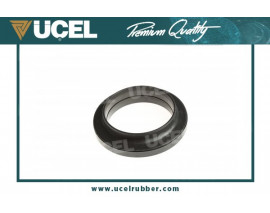 AMORTİSÖR RULMANI RENAULT FLUENCE L30 Z.E.-1.6 16V-2.0 16V-1.5 DCI