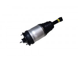 AMORTİSÖR VE KÖRÜK ARKA R-L LR041110 RRS