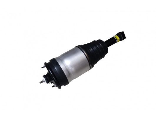 AMORTİSÖR VE KÖRÜK ARKA R-L LR041110 RRS