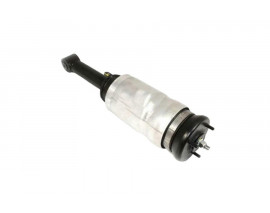 AMORTİSÖR VE KÖRÜK ÖN LR041108 LR016414 RRS