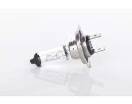 AMPUL - PLUS 50 - 12 V - H7 - 55 W - PX26D H7