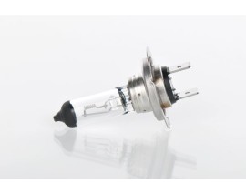 AMPUL - TRUCKLİGHT MAXLİFE - 24 V - H7 - 70 W - PX26D H7