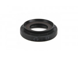 ARKA AKS KEÇESİ SAĞ İÇ DUSTER 4X4