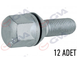 BİJON CİVATASI RENAULT 9-11 PULLU-GEOMET PAKET 12