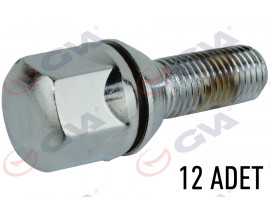 BİJON CİVATASI RENAULT 9-11 PULLU KROMAJLI PAKET 12