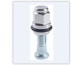 BİJON SAPLAMASI SOMUNLU TAKIM KROMAJLI HONDA CIVIC