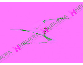 ÇERÇEVE SİS FAR ÖN SET KROM PEUGEOT 308 2013