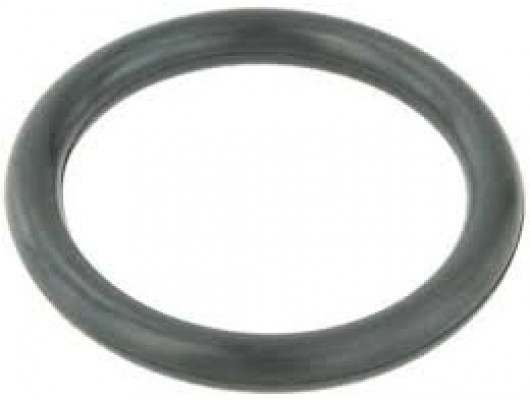 DEVİRDAİM BORUSU CONTASI MEGANE I-II-III SCENIC I-II-III KANGOO I-II 1.6 CLIO II 1.6 28mm x 4mm
