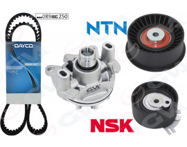 DEVİRDAİMLİ EKSANTRİK GERGİ KİTİ 089x250 MASTER II-MOVANO-LAGUNA II 01 TRAFIC II 03 2.2DTI-2.5CDTI 119A05607R