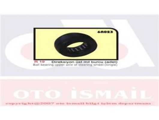 DİREKSİYON MİL BURCU R19