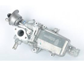 EGR SOGUTUCUSU TRAFIC III 15 MEGANE IV 15 TALISMAN 15 SCENIC IV 15 1.6dCi