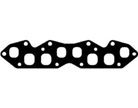 EGZOZ MANİFOLD CONT SAÇLI BZN R9