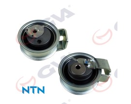 EKSANTRİK GERGİ RULMANI PASSAT 1.8T-2.0 00-05