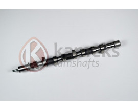 EKSANTRİK MİLİ CAPTUR I 12 CLIO II 01 06 SYMBOL II 08 MEGANE III 09 KANGOO 01 QASHQAI 06 13 MICRA III 05 10 LOGAN II 08 1.5 DCI K9K DOKUM