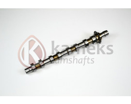 EKSANTRİK MİLİ EGSOZ P1007 P206 P207 P307 P308 P3008 P5008 P407 PARTNER II III EXPERT III BERLIN GO II III C2 C3 I II III C4 C4 PICASSO C5 II III JUMPY III 1.6HDI FOCUS II 1.6 TDCI 04 11