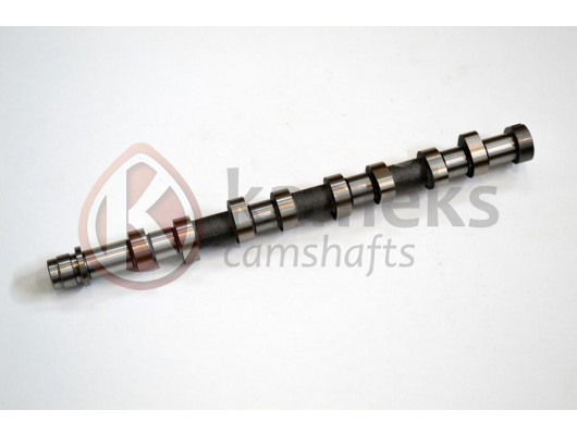 EKSANTRIK MILI FIESTA FUSION 02 08 1.4 TDCI -206-307-C3 C2-C3-XSARAII-NEMO-107-206-307 -BIPPER 1.4 HDI DV4 CELIK