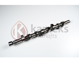 EKSANTRIK MILI MEGANE I 97 01 MEGANE II 02 08 LAGUNA I 97 02 LAGUNA II 02 07 -TRAFIC II 06 MASTER I 01 1.9 DCI F9Q DÖKÜM