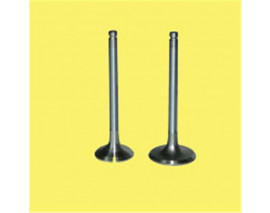 EMME EGZOZ SUBAP TAKIM POLO-GOLF4-5-JETTA-PASSAT-TIGUAN AHW-BBY-BKY-BAG-BLF-BLP-BMY-BCB-CAVA-CAXA