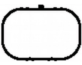 EMME MANİFOLD CONTASI TAKIM 5 Adet MGN-CLIO-LGN-DACIA LOGAN 1.4-1.6 16V K4J-K4M