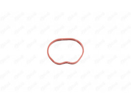 EMME MANIFOLD TAKIM CONTA SILIKON FOCUS II 1.6 16V BENZINLI 07