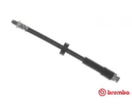 FREM HORTUMU LANCIA THESIS 841 07/02-07/09