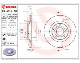 FREN DISKI ARKA UV COATED AUDI