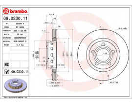 FREN DISKI ARKA VW PASSAT 4.0 AUDI A6 4.2