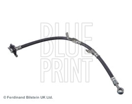 FREN HORTUMU CARNIVAL