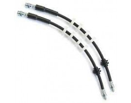 FREN HORTUMU ön CINQUECENTO. SEICENTO. 91-10