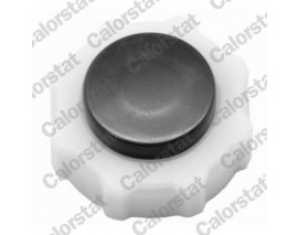 GENLEŞME KAVANOZ KAPAĞI R9-FLASH-R19-R12-TOROS-MGN-CLIO-KNG-EXP-LOGAN-SOLENZA