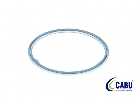 KALORIFER UFLEYICI CERCEVESI KROM FOCUS II 04 08