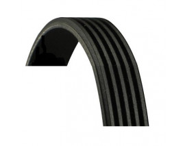 KANALLI KAYIŞ AUDI A6-A8-LOGAN-HYUNDAI-PAJERO-ALMERA-MICRA-CLIO II-III-KNG 1.5 DCI-MGN II-MODUS-AVEN