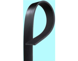 KANALLI KAYIŞ DAF 45 91-00 F1000 F50 F600 F800 LEYLAND DAF