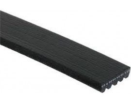 KANALLI KAYIŞ TOYOTA ALFA CITR RENO G5PK825 58351