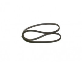 KANALLI V KAYIŞI 4PK1030