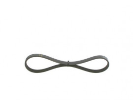 KANALLI V KAYIŞI 4PK648