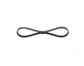 KANALLI V KAYIŞI 4PK668