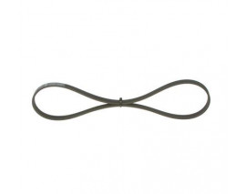 KANALLI V KAYIŞI 4PK884