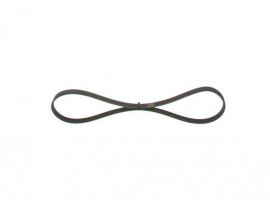 KANALLI V KAYIŞI 4PK920