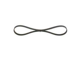 KANALLI V KAYIŞI 4PK954