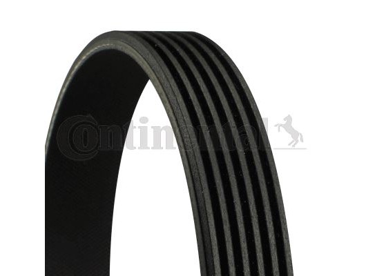 KANALLI V KAYISI 6PK1538 BMW E46 E39 E60 E38 E65 E83 E53 Z3 E36 VW GOLF BORA TOYOTA COROLLA FORD KUGA FOCUS 3 HYUNDAI i10 3