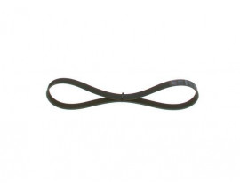 KANALLI V KAYIŞI 6PK884